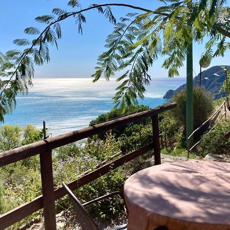 Villa Pietrafiore Monterosso al Mare Zewnętrze zdjęcie