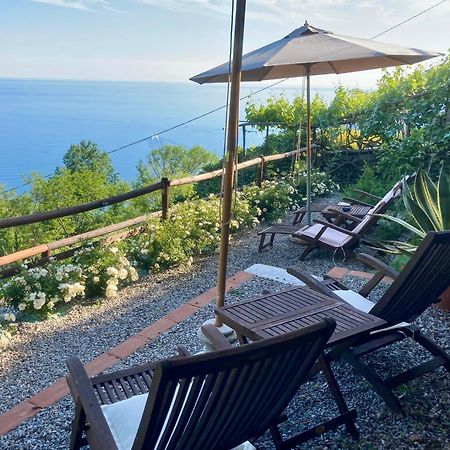 Villa Pietrafiore Monterosso al Mare Zewnętrze zdjęcie