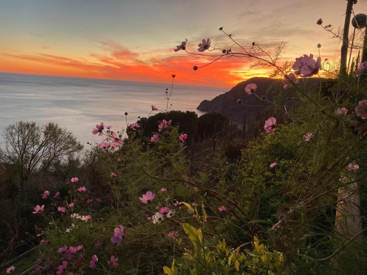 Villa Pietrafiore Monterosso al Mare Zewnętrze zdjęcie