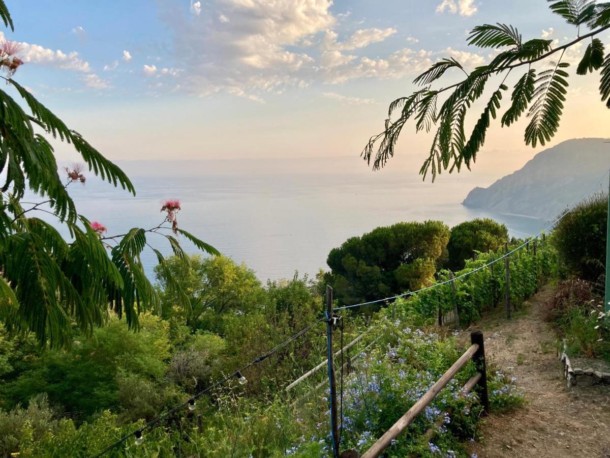 Villa Pietrafiore Monterosso al Mare Zewnętrze zdjęcie
