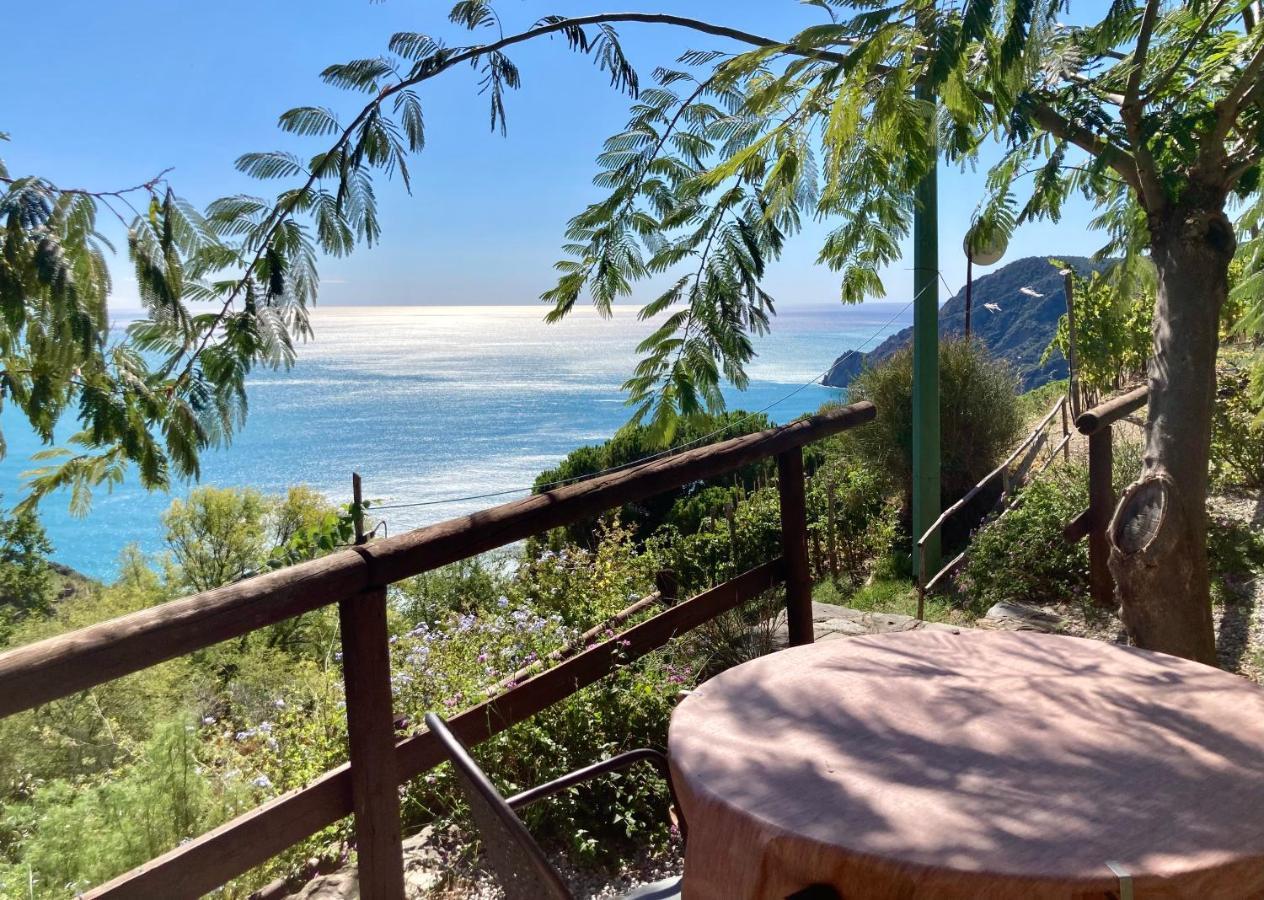 Villa Pietrafiore Monterosso al Mare Zewnętrze zdjęcie