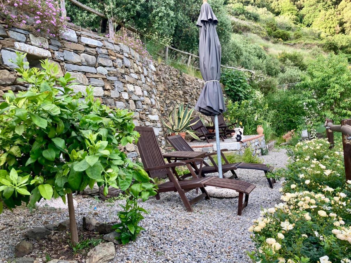 Villa Pietrafiore Monterosso al Mare Zewnętrze zdjęcie
