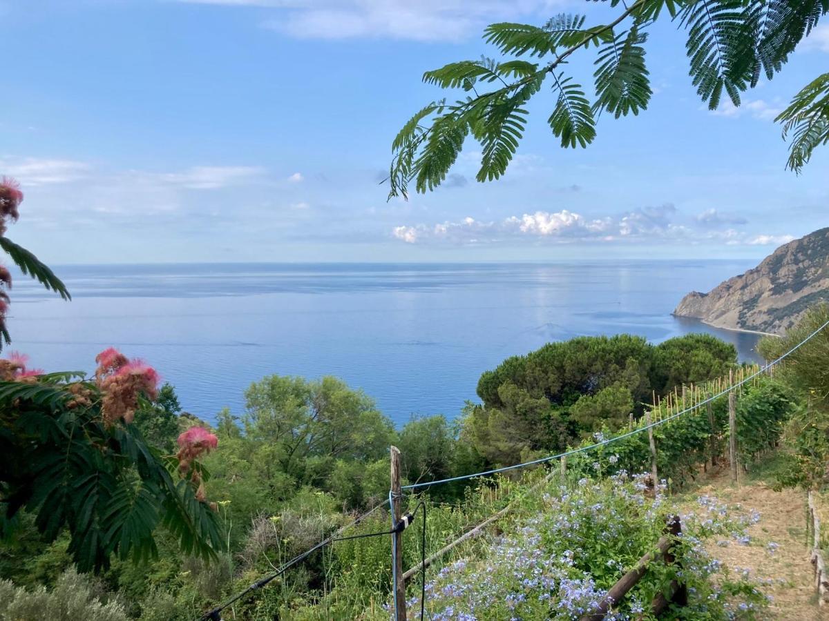 Villa Pietrafiore Monterosso al Mare Zewnętrze zdjęcie