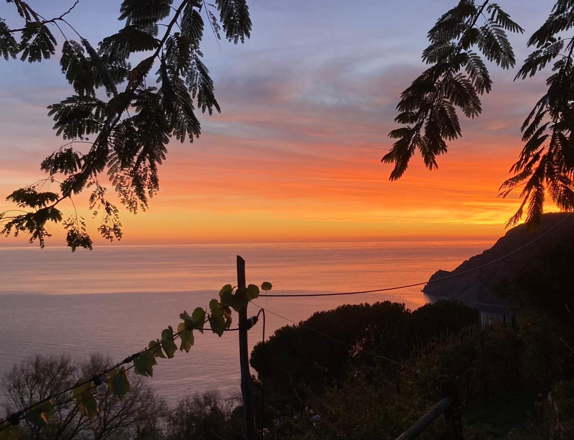 Villa Pietrafiore Monterosso al Mare Zewnętrze zdjęcie