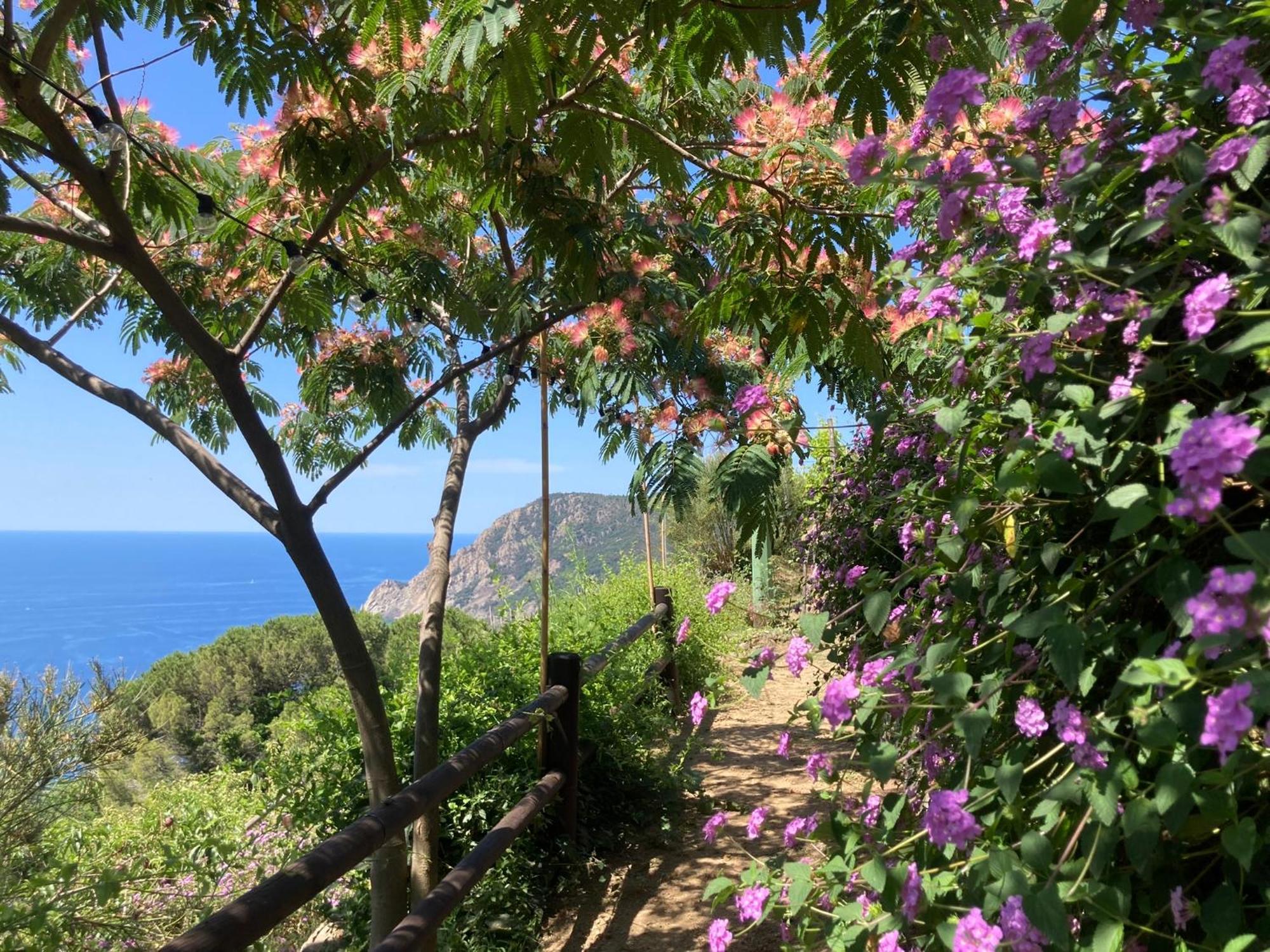 Villa Pietrafiore Monterosso al Mare Zewnętrze zdjęcie