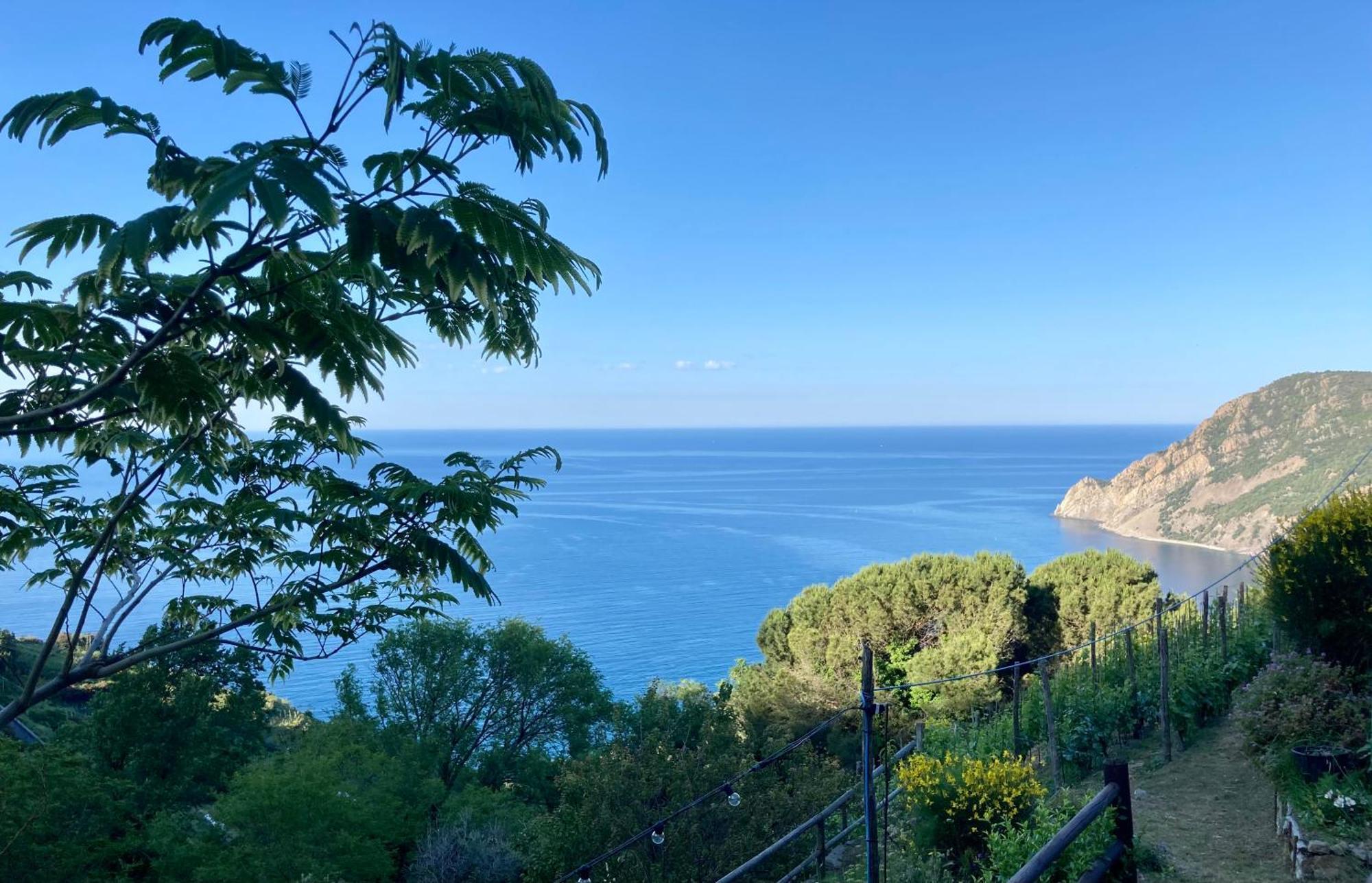 Villa Pietrafiore Monterosso al Mare Zewnętrze zdjęcie